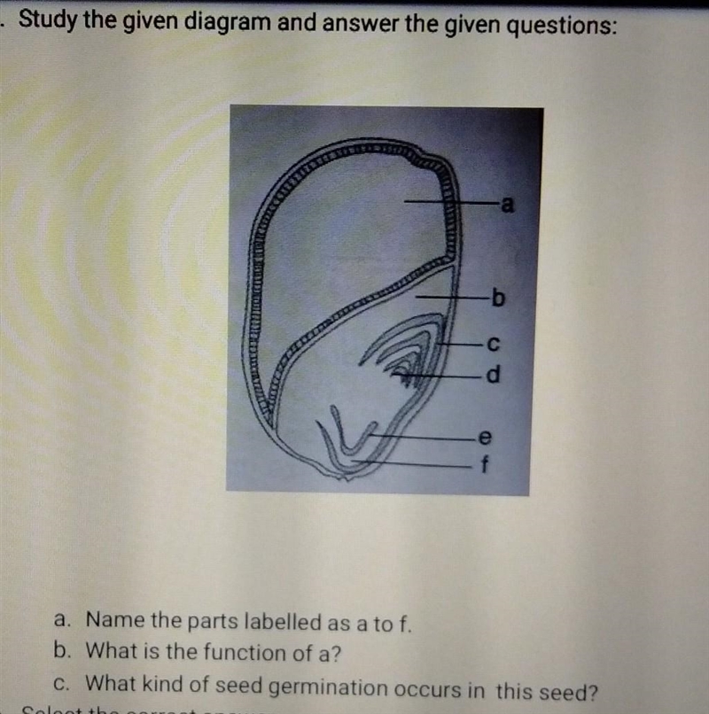 Please solve this question​-example-1