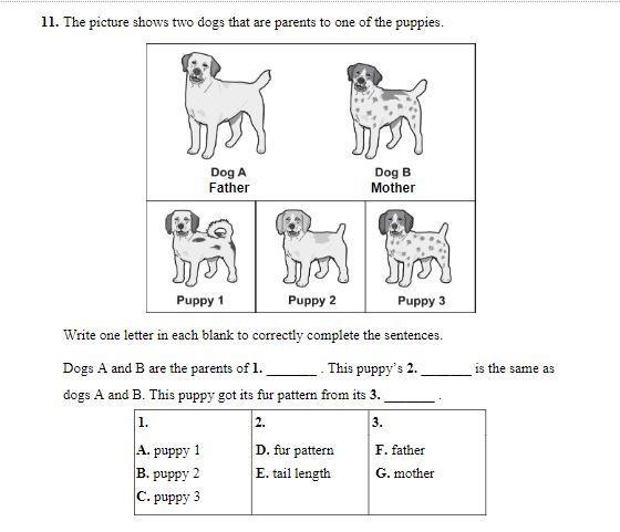 Can anyone plz help me on this question-example-1