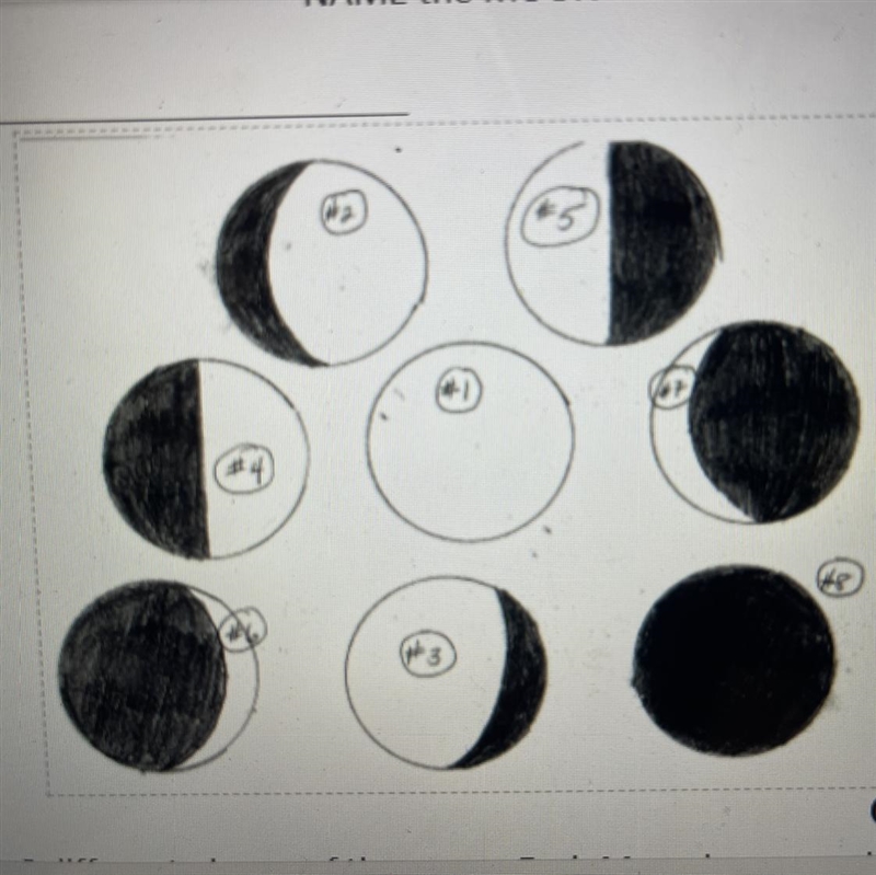 Look at the 8 different phases of the moon. Each Moon has a number on it. Write the-example-1