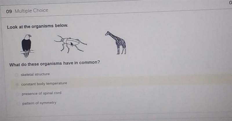 09 Multiple Choice Look at the organisms below. What do these organisms have in common-example-1