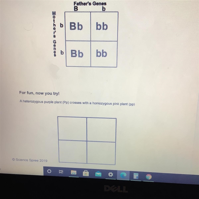 Does anyone know how to do this? :/-example-1