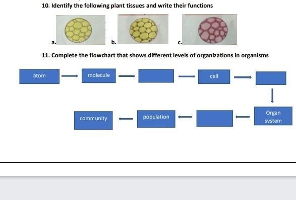 Please help me please find the answer ​-example-1