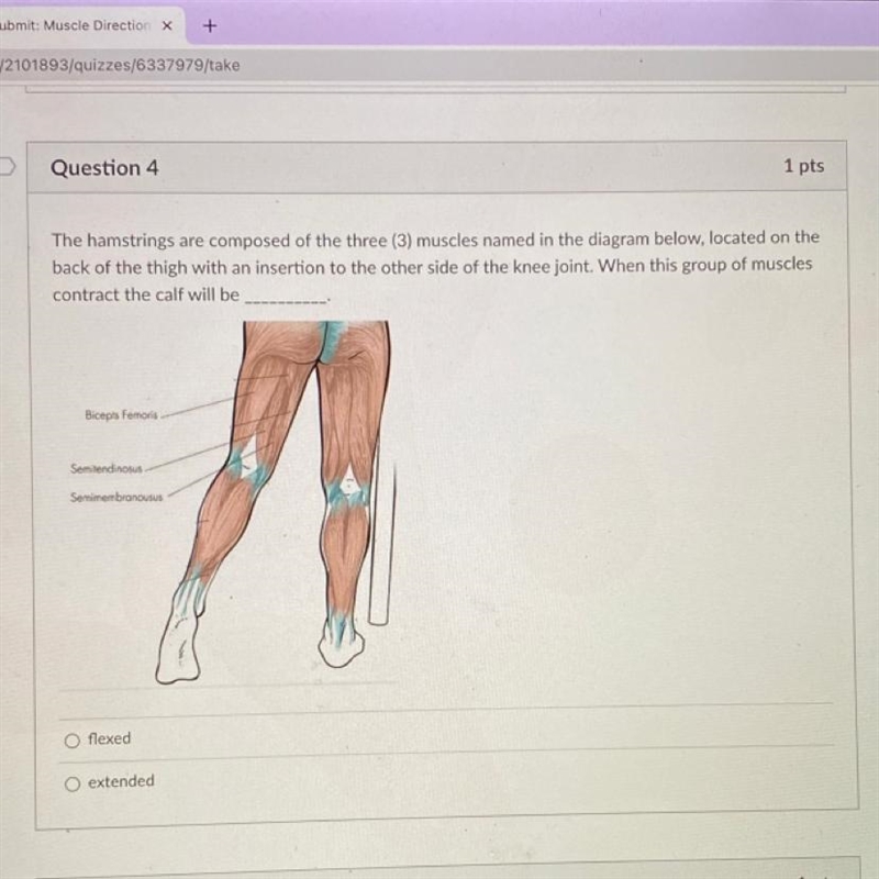 Please help me figure this out-example-1