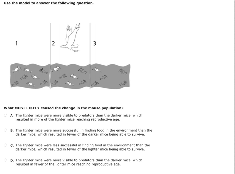 Answer and show work,-example-1