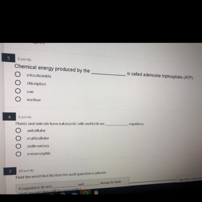 I need help with 5,6 I’ll reward brainalist + 5 points for correct answer-example-1