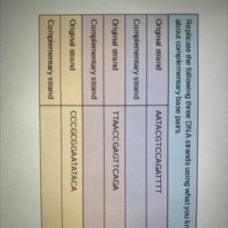 DNA REPLICATION HELP PLEASE-example-1