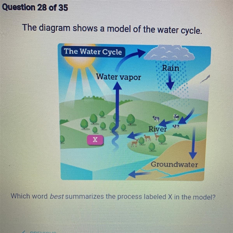 A. Precipitation B. Evaporation C. Photosynthesis D. Commensalism-example-1