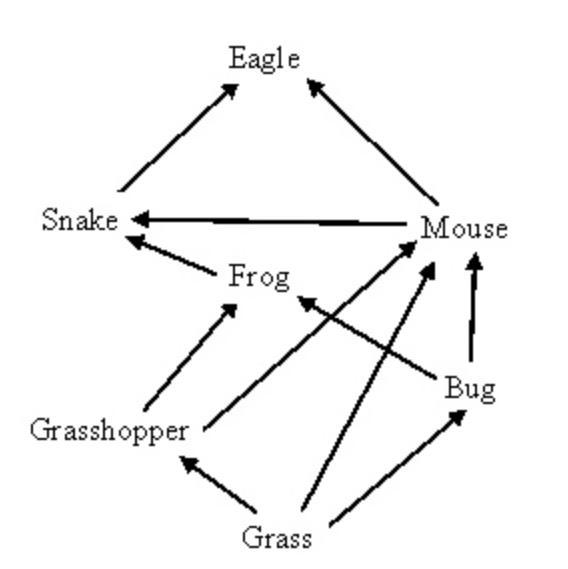 In the food web below, which organism would have a larger population?-example-1