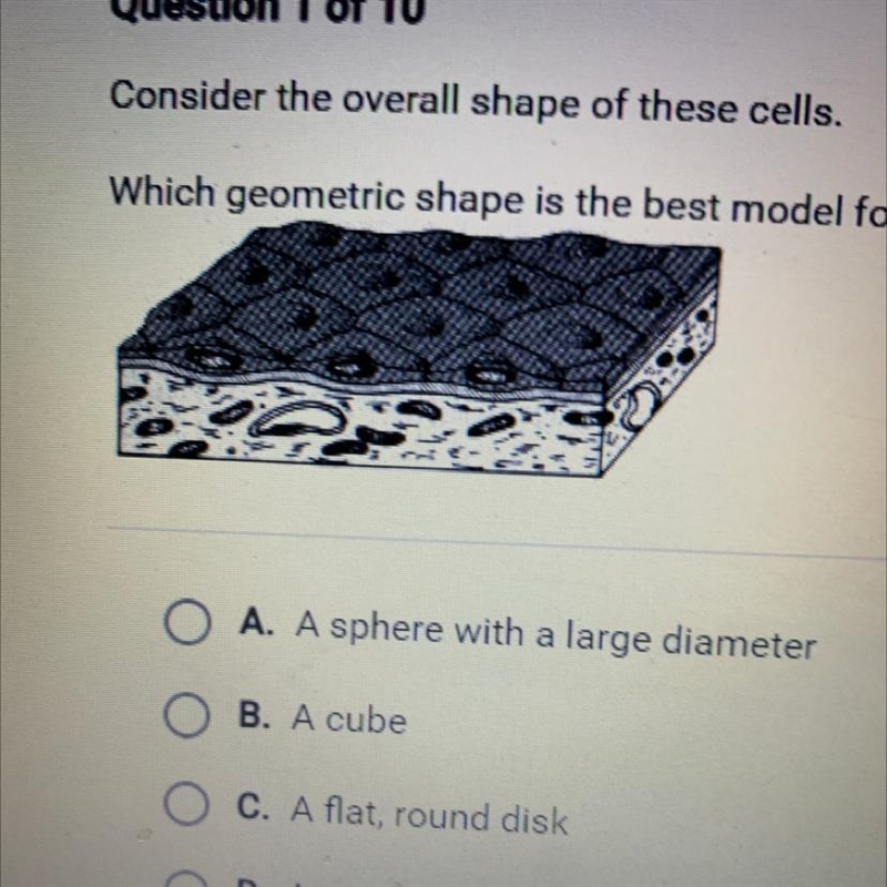 Question 1 of 10 Consider the overall shape of these cells Which geometric shape is-example-1