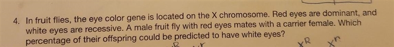 ((I need to make the punnet square))​-example-1