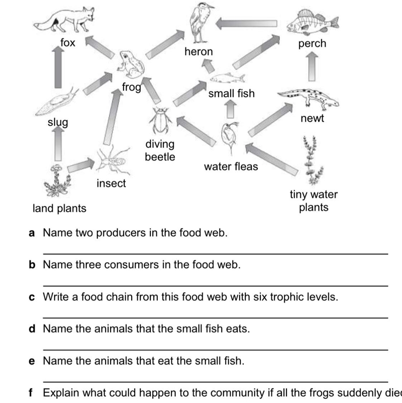 Please help need this like rn please god help me-example-1