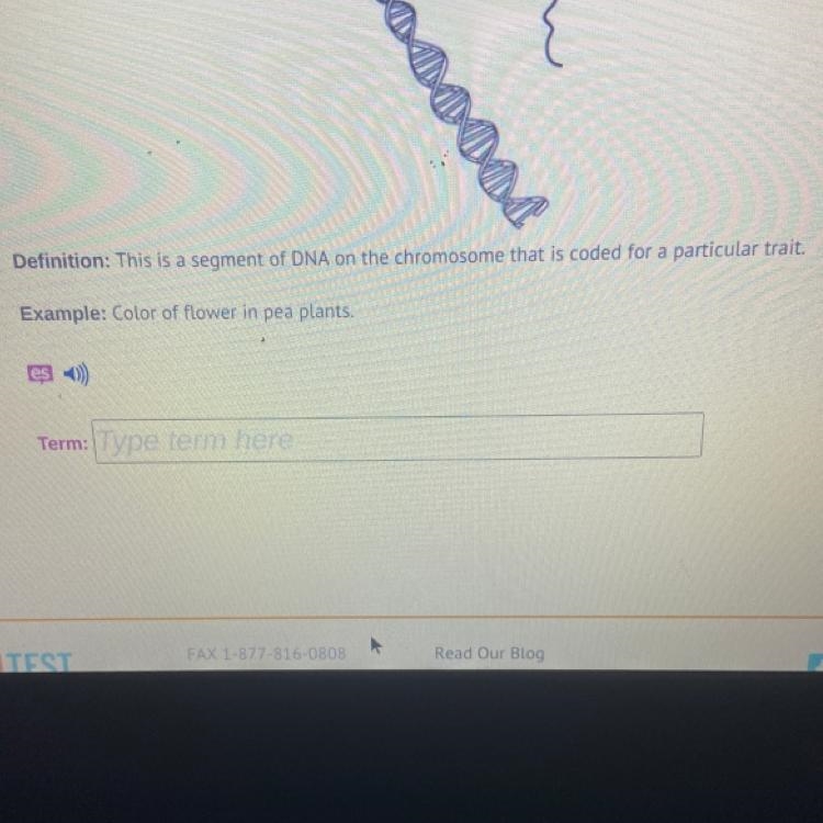 Definition: This is a segment of DNA on the chromosome that is coded for a particular-example-1