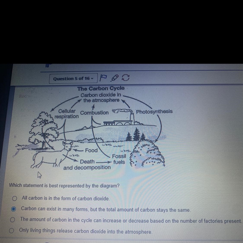 Which statement is best represented by the diagram? All carbon is in the form of carbon-example-1