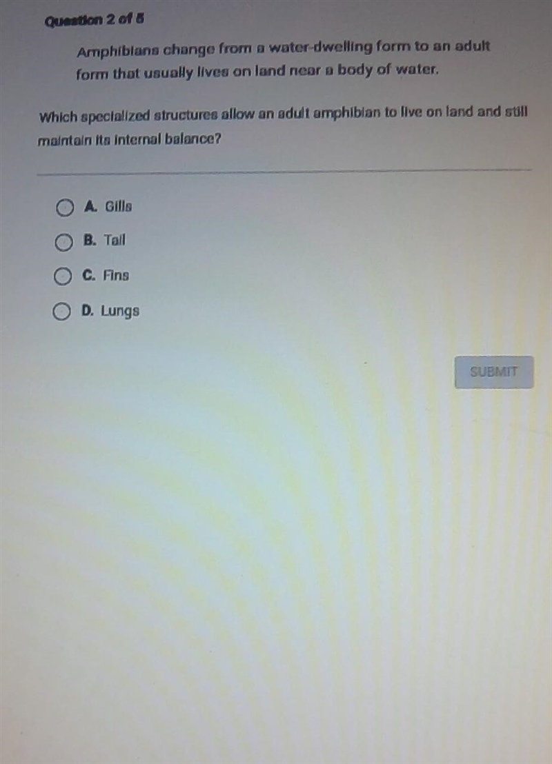 Can you explain to me what the answer is​-example-1