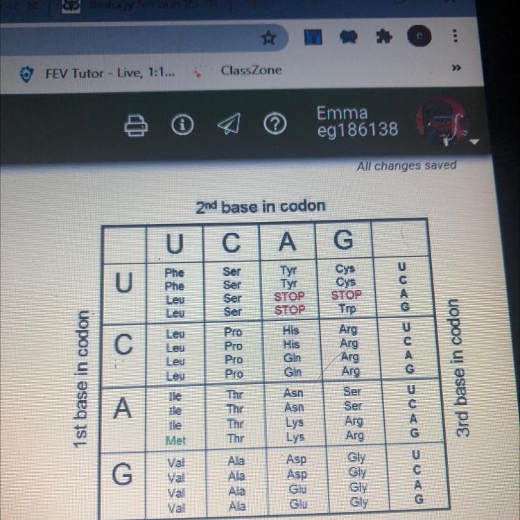 A segment of RNA reads A U G U C C A C A. Use the codon table to determine what the-example-1