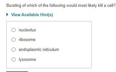 Bursting of which of the following would most likely kill a cell?-example-1