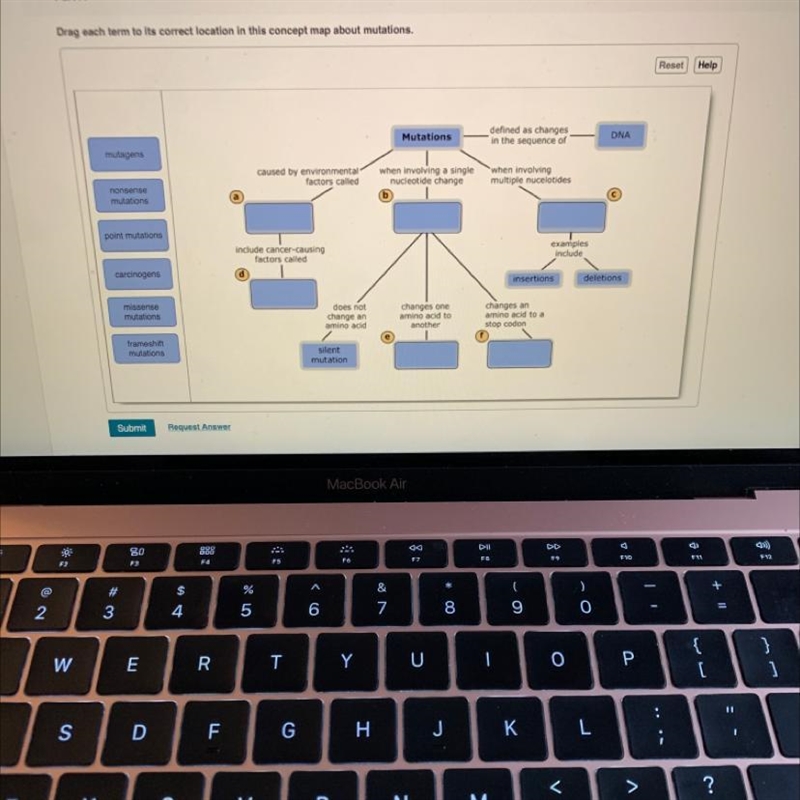 CAN SOMEONE PLEASE HELP ME WITH THIS DIAGRAM-example-1