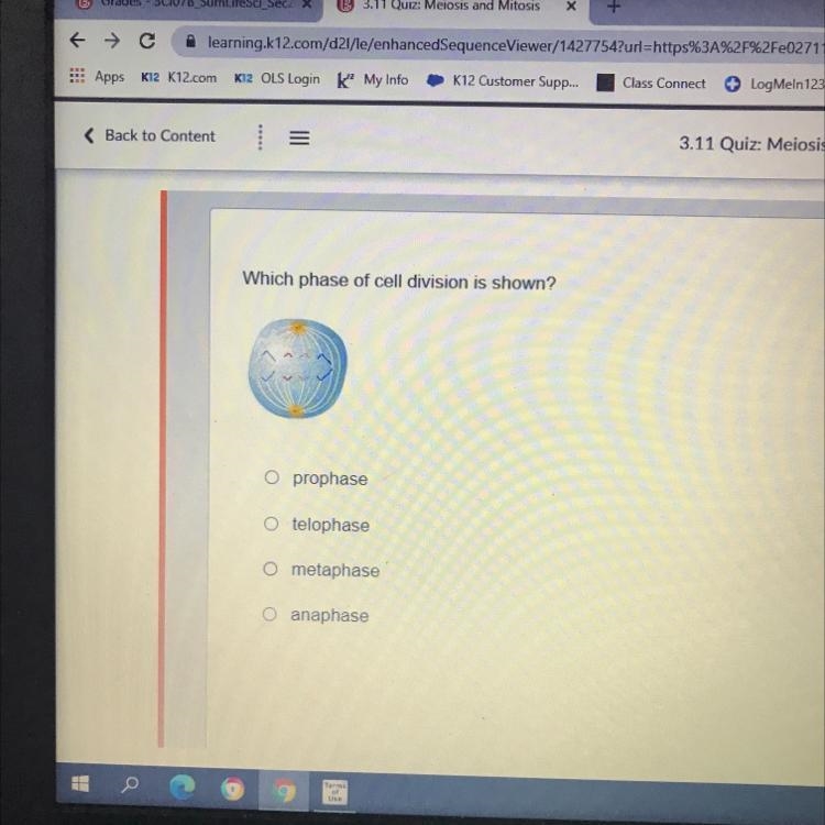 Which phase of cell division is shown? O prophase O telophase O metaphase O anaphase-example-1