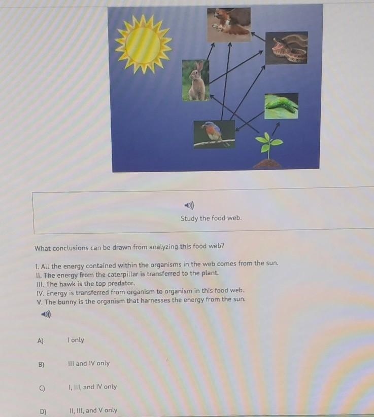 15) Study the food web, What conclusions can be drawn from analyzing this food web-example-1