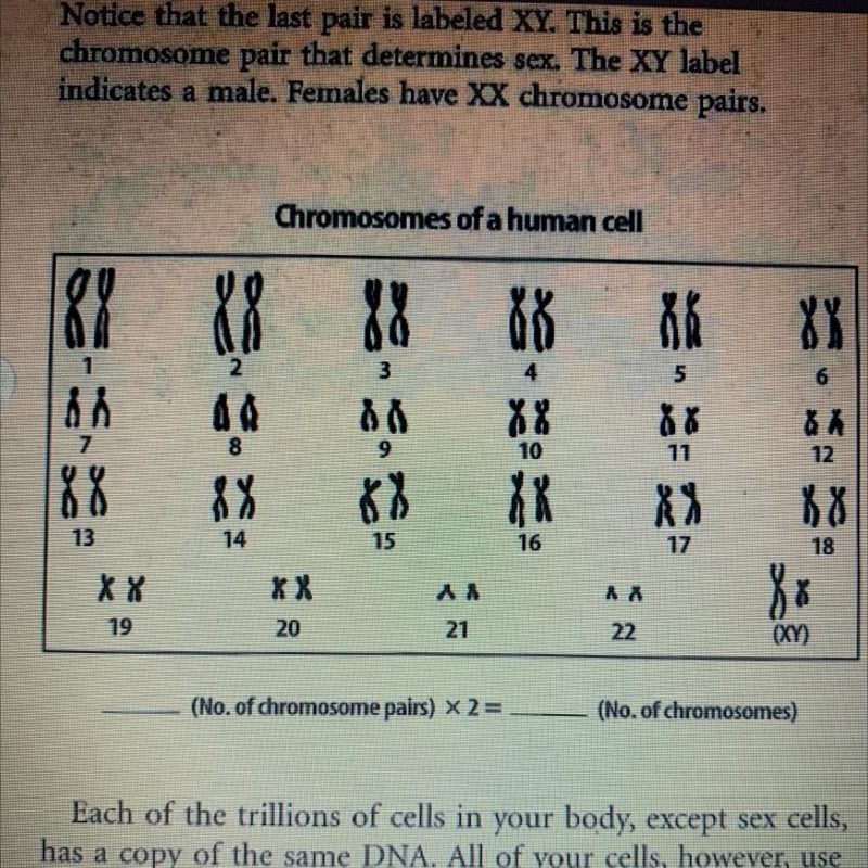 Please help this is science-example-1