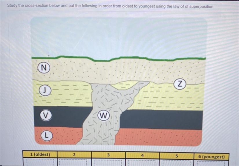 Study the cross-section below and put the following in order from oldest to youngest-example-1