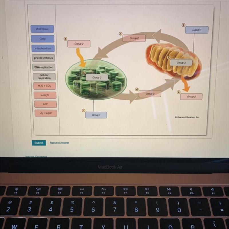 I need help labeling-example-1