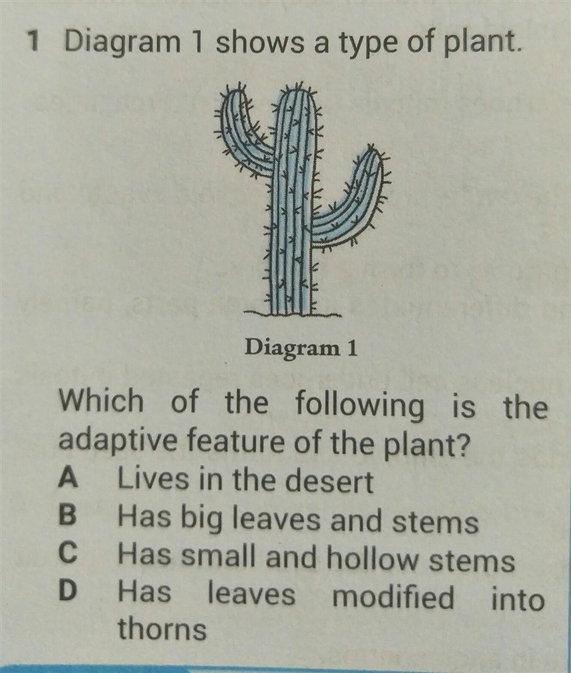 Which of the following is the adaptive feature of the desert ​-example-1