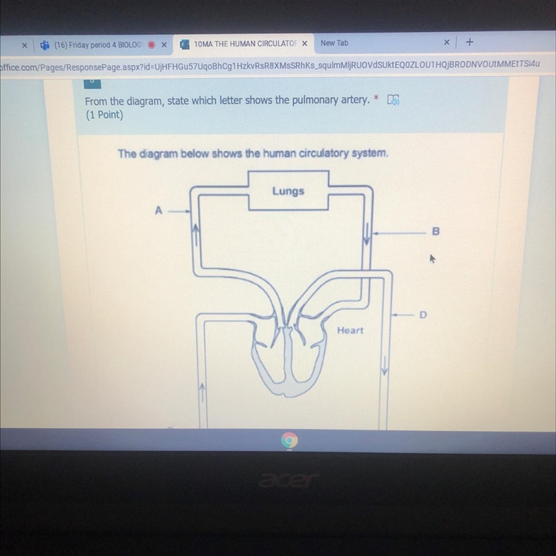 From the diagram state witch letter shows the pulmonary artery-example-1