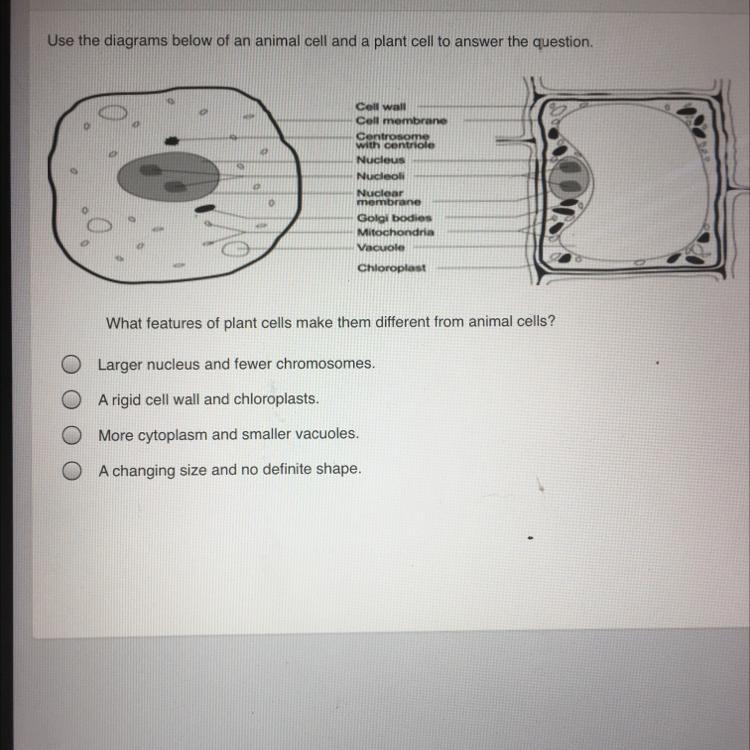 What is the answer for this question-example-1