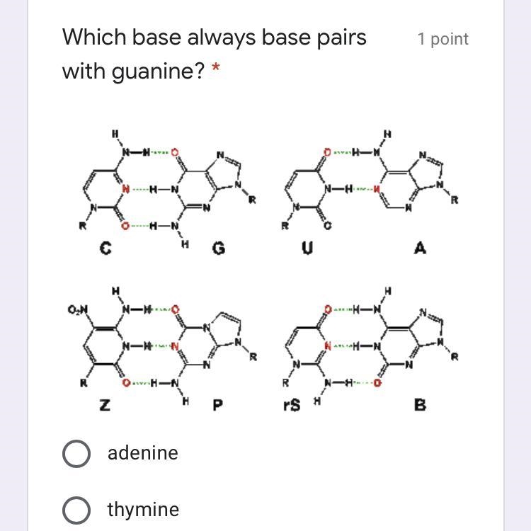 C cytosine need help with this problem-example-1