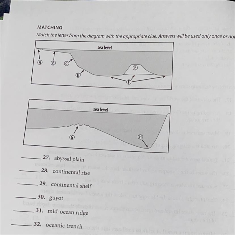 Please help ASAP i’ll give brain-example-1