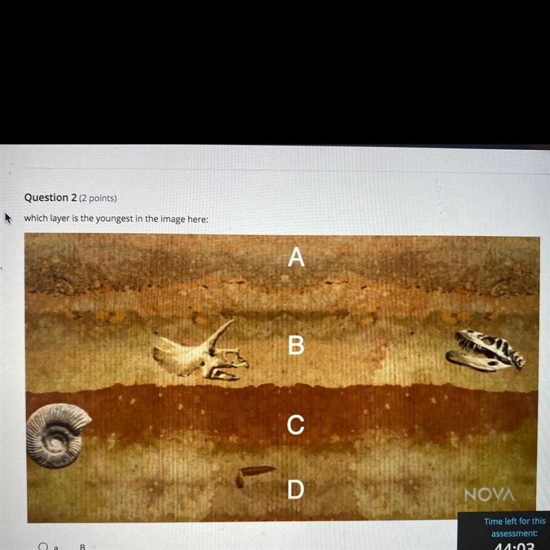 Which layer is the youngest in this image?-example-1