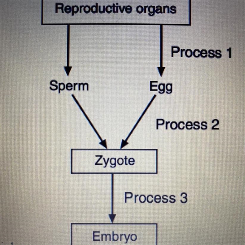 Base your answers to parts a and b on the diagram below and on your knowledge of biology-example-1