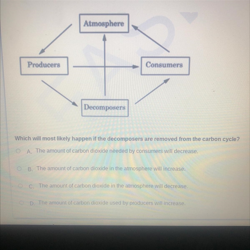 Which will most likely happen if the decomposers are removed from the carbon cycle-example-1