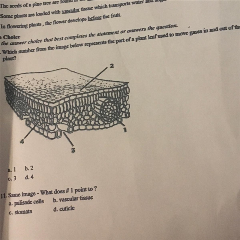 Answer 10 and 11 please-example-1