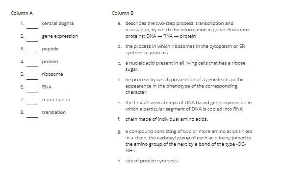 Match the following terms with the correct definition.-example-1