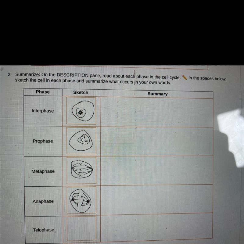 Can someone help me with this bio assignment?-example-1