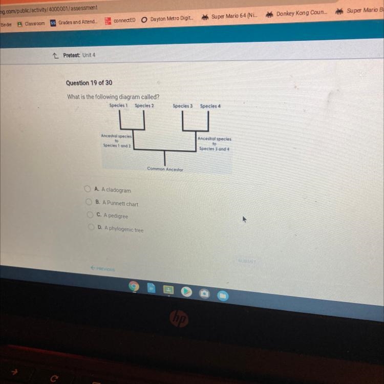 Question 19 of 30 What is the following diagram called? A. A cladogram B. A Punnett-example-1