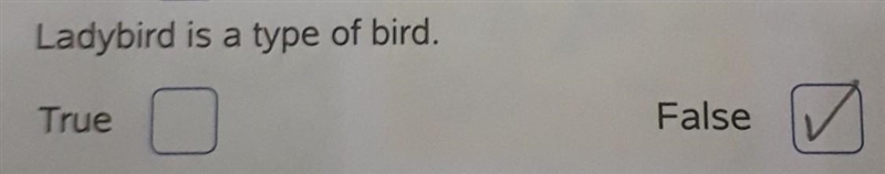 Ladybird is a type of bird. True False ​-example-1