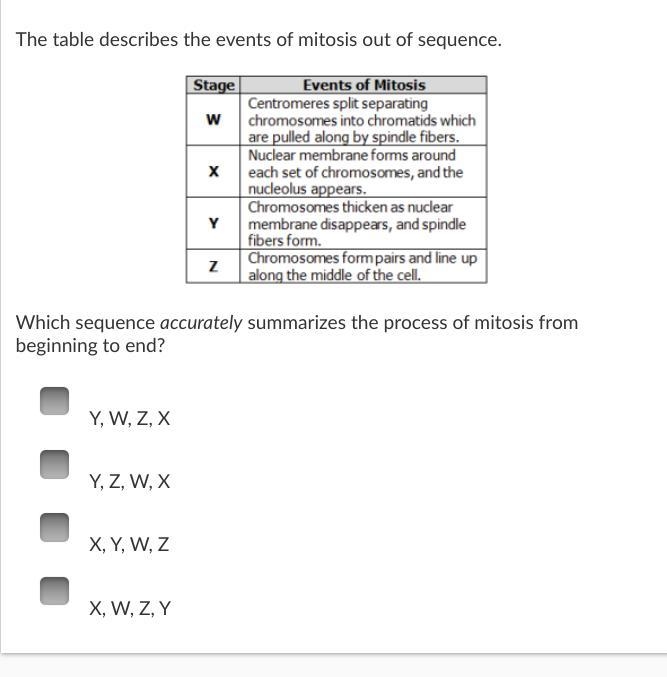 MASTERY CONNECT MITOSIS-example-1