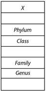 HELP IM TAKING A TEST Living things have been organized into different categories-example-1