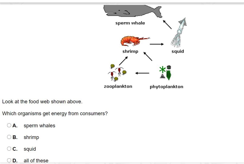 Look at the food web shown above. Which organisms get energy from consumers?-example-1