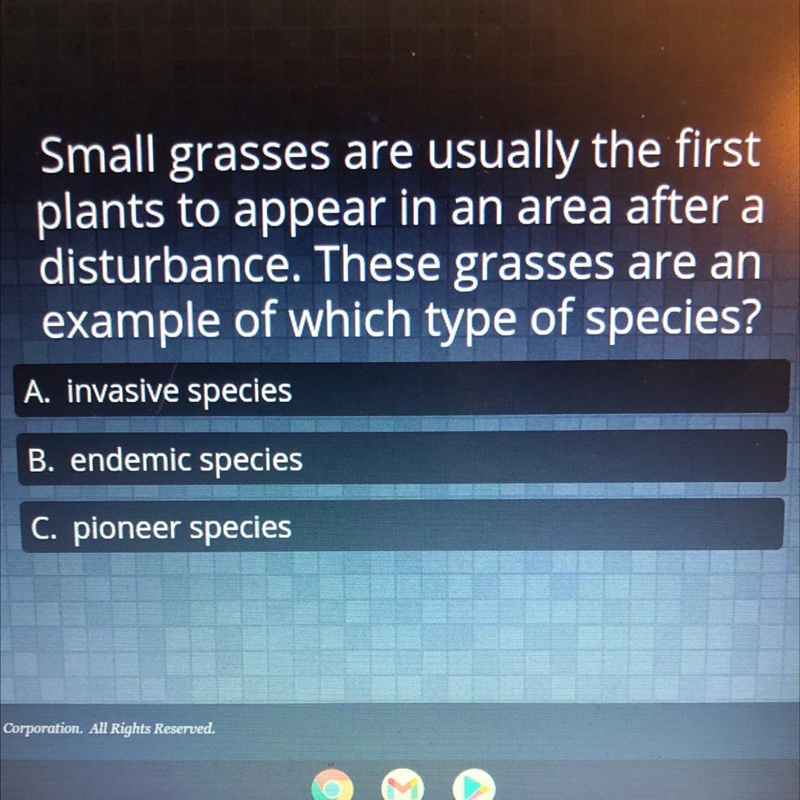 small grasses are usually the first plants to appear in an area after a disturbance-example-1