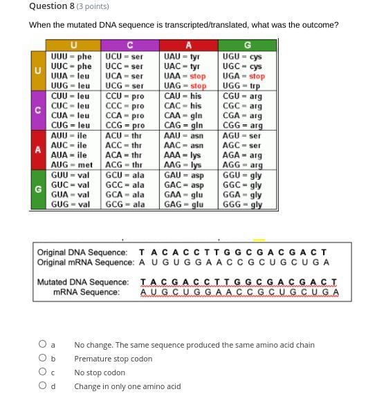 When the mutated DNA sequence is transcripted/translated, what was the outcome? ig-example-1