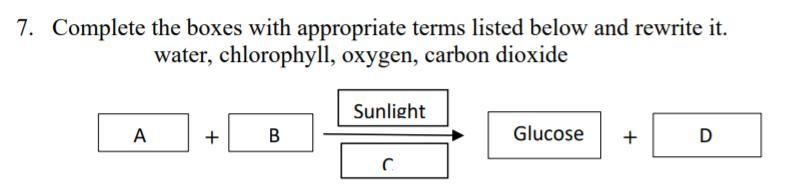 Complete the boxes with appropriate terms listed below and rewrite it. water, chlorophyll-example-1