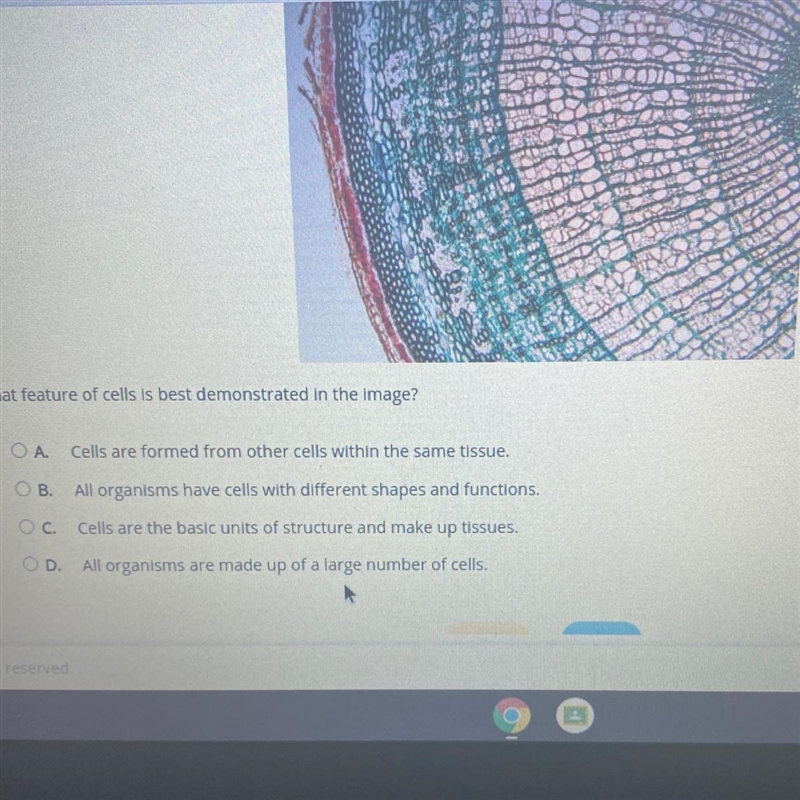 What feature of cells is best demonstrated in the image? ОА. Cells are formed from-example-1