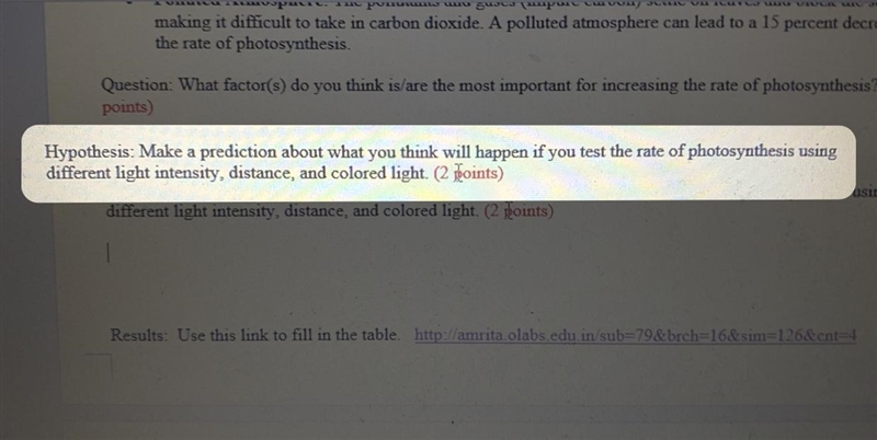 Hypothesis: Make a prediction about what you think will happen if you test the rate-example-1