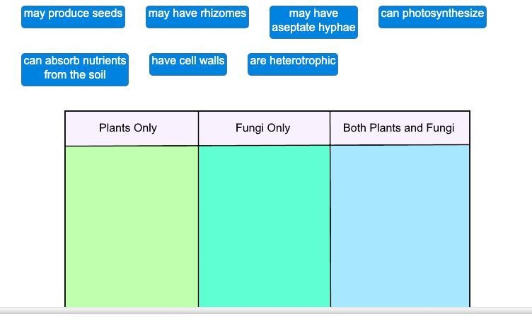 Help me what is this stuff please i really need halp-example-1