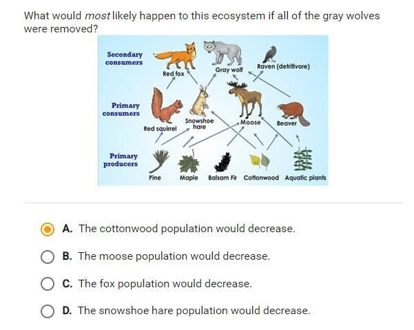 What would most likely happen to this ecosystem if all of the gray wolves were removed-example-1