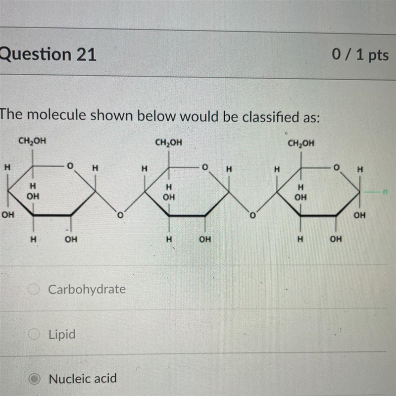 The molecule shown below would be classified as: A) Carbohydrate B) Lipid C) Nucleic-example-1